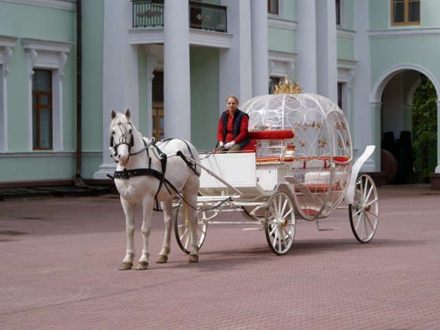 Свадебная карета с лошадьми